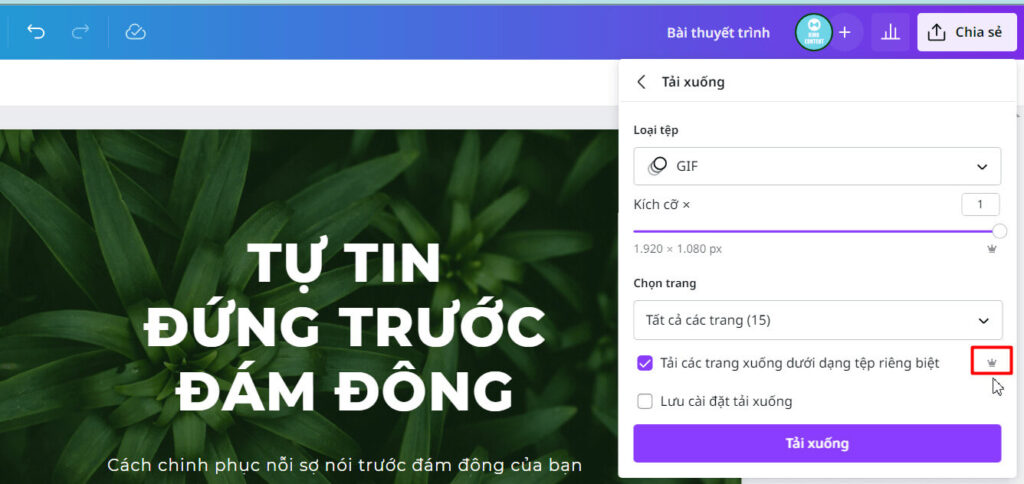 Dùng tài khoản Canva pro có thể tải trong 1 lần 