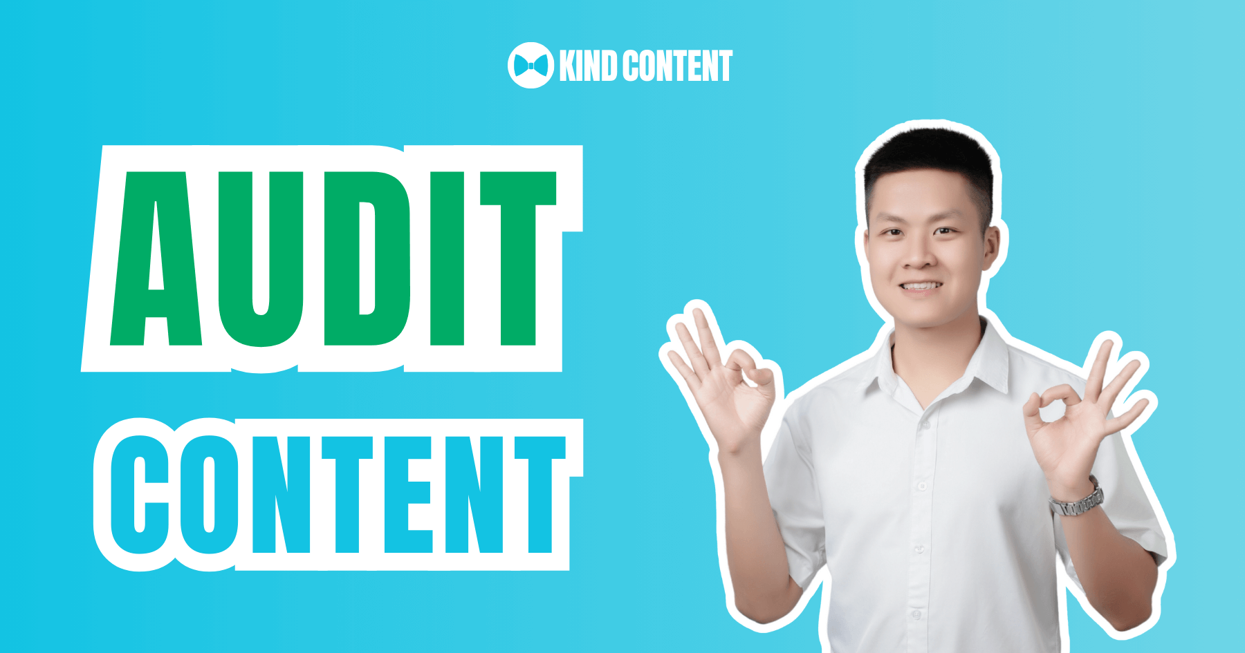 Audit Content