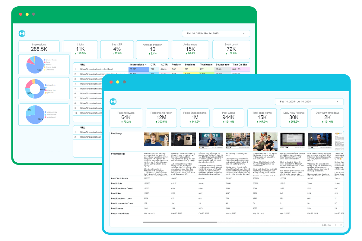 Report Social & Website trên một giao diện Looker Studio