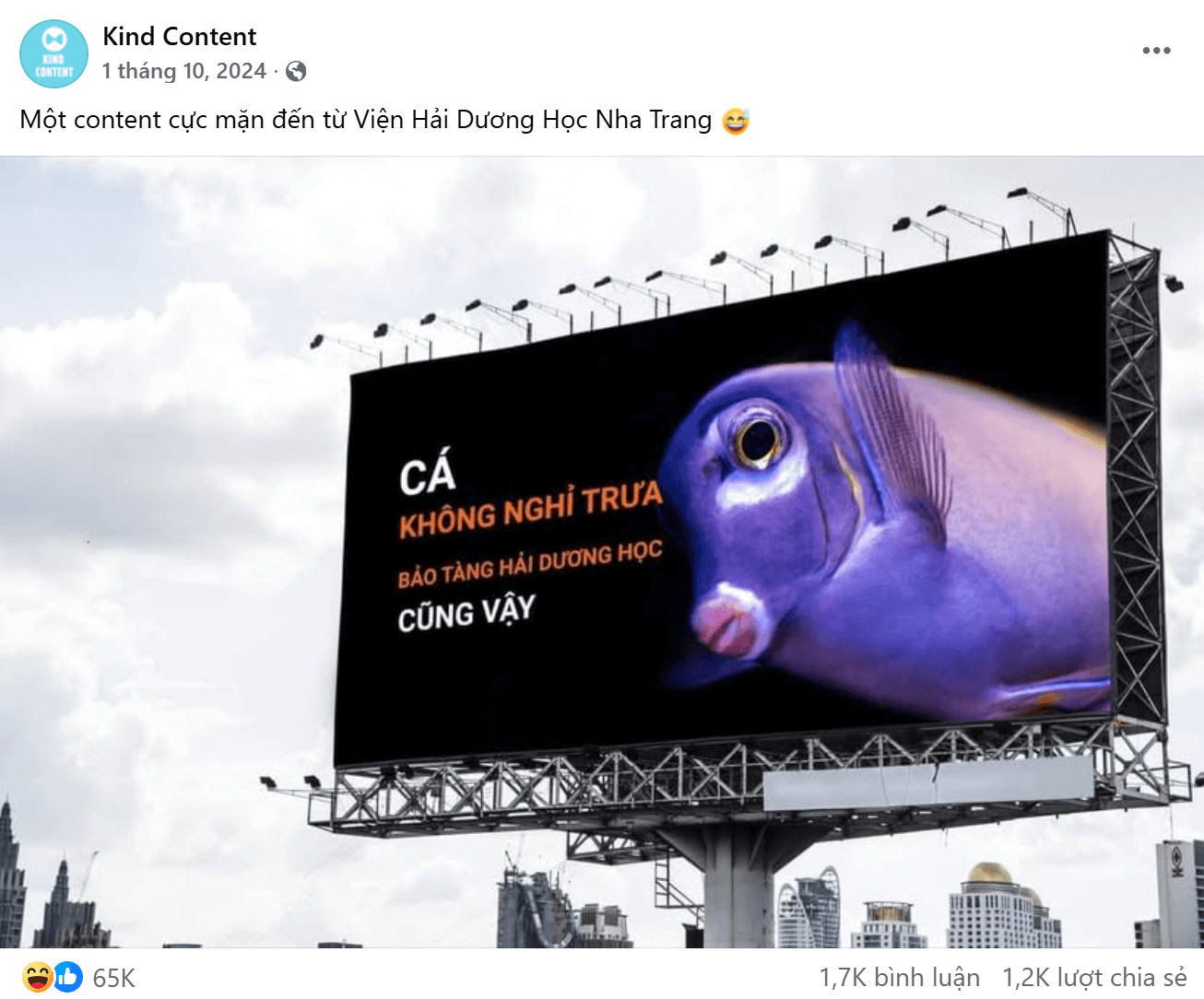 Mẫu Content Viral hài hước