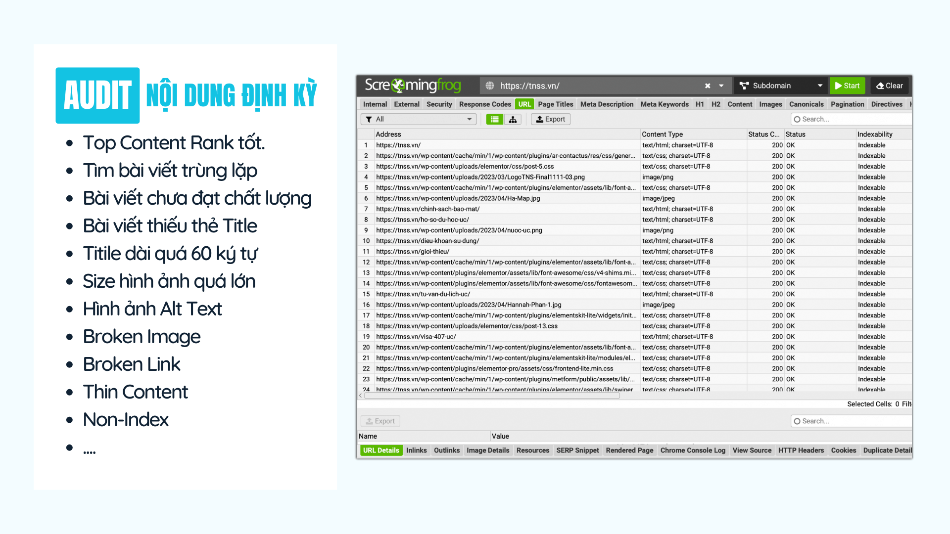 Hỗ trợ Audit Content Website định kỳ