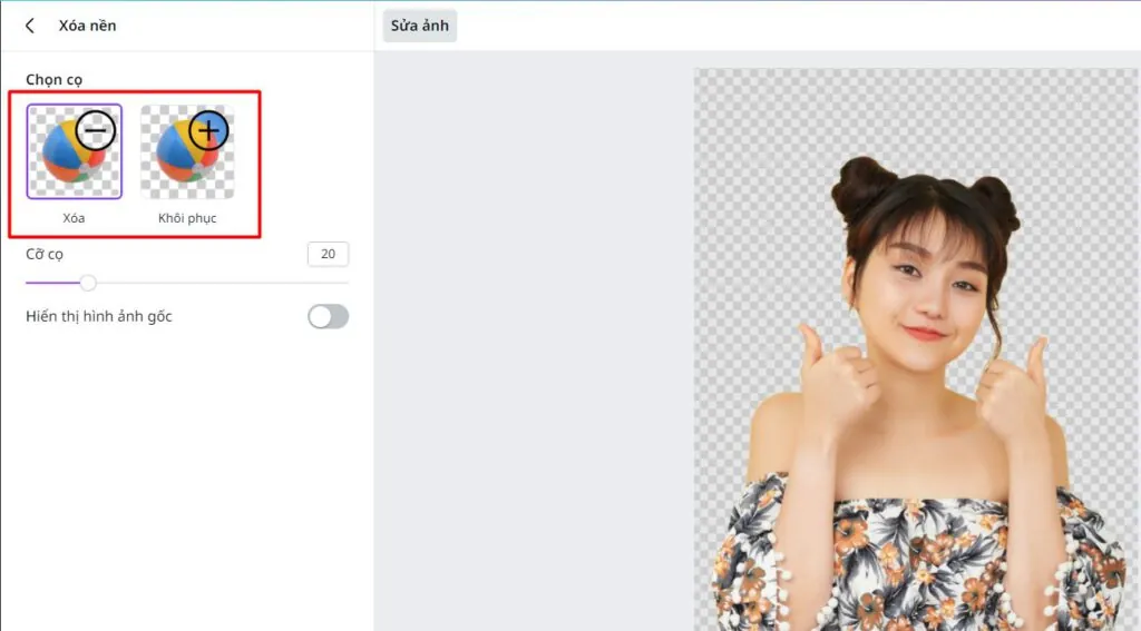 Có 2 loại cọ là Xóa và Khôi phục