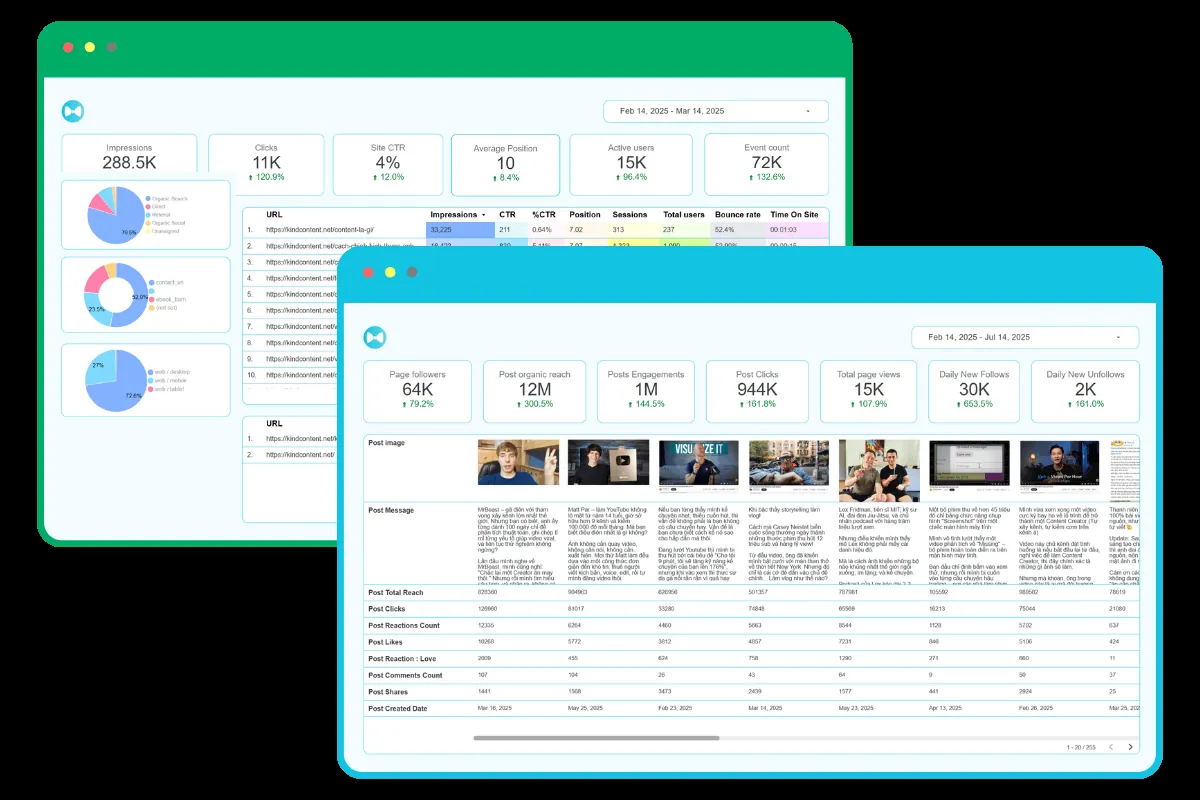 Report Social & Website trên một giao diện Looker Studio
